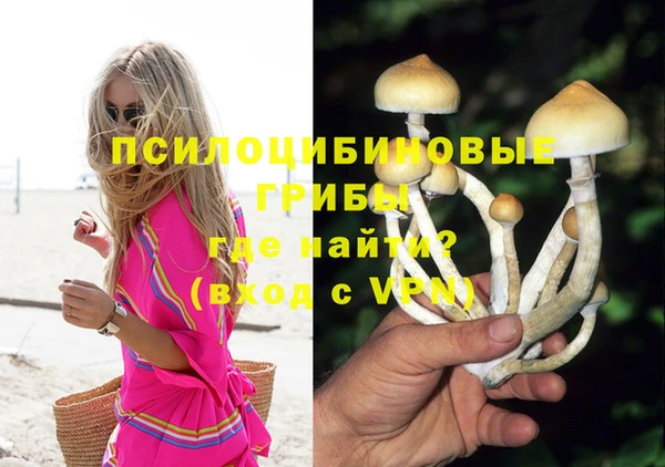 прущие крисы Армянск