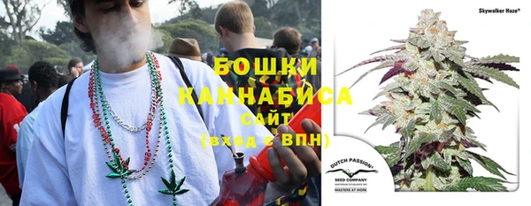 прущие крисы Армянск