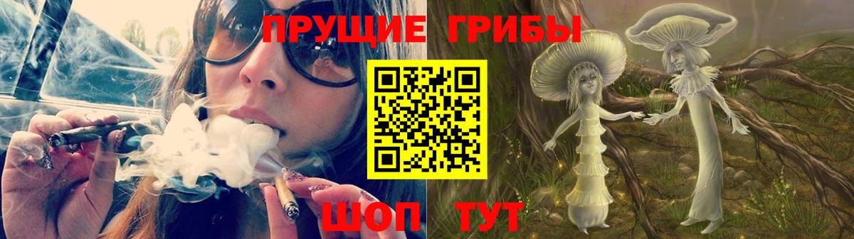 Галлюциногенные грибы Psilocybine cubensis Заречный